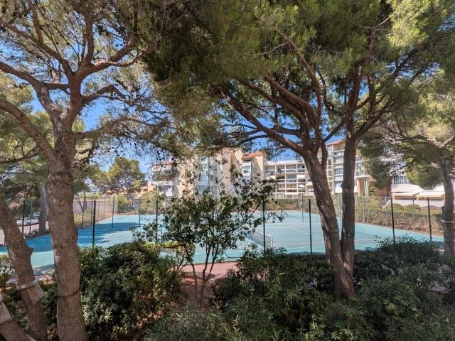 Appartement de 30m2 à louer sur Sète