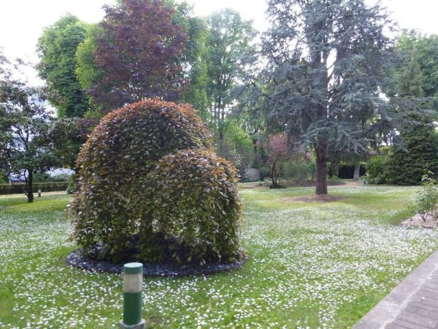 Appartement de 34m2 à louer sur Fontenay sous Bois