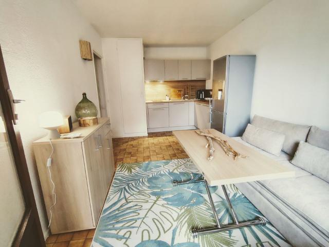 Appartement de 34m2 à louer sur Saint Cyprien