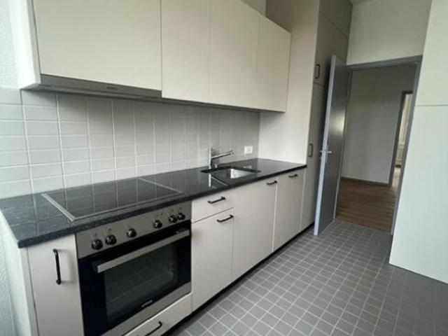 Appartement de 3 pièces entièrement rénové