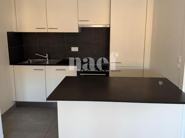 Appartement de 3 pièces récemment rénové