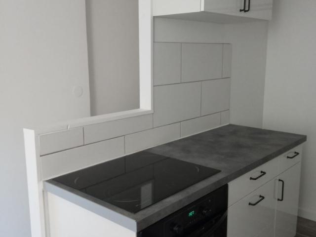 Appartement de type F2, entièrement rénové, offrant une entrée sur cuisine aménagée et équipée