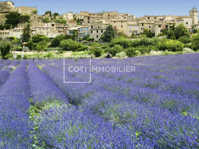 APPARTEMENT DE CARACTERE AU COEUR DE LOURMARIN PLACE DE L'ORMEAU
