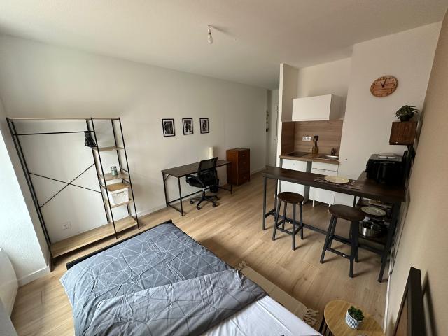 APPARTEMENT DE F1 ENTIÈREMENT RENOVÉ AU CENTRE VILLE DE BELFORT