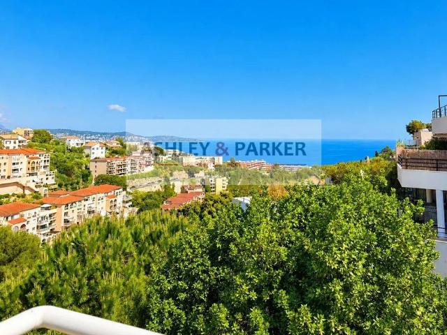 Appartement de luxe de 3 chambres en vente à Nice, France