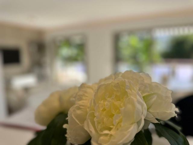 Appartement de luxe de 3 pièces en vente à Canni, Corse