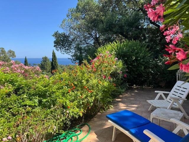 Appartement de luxe de 48 m2 en vente Le Lavandou, France