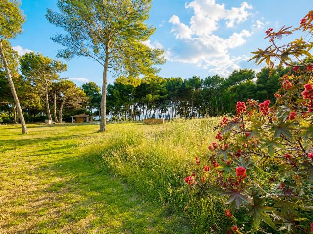 Appartement de luxe de 4 chambres en vente à Saint Mandrier sur Mer, Provence Alpes Côte d'Azur