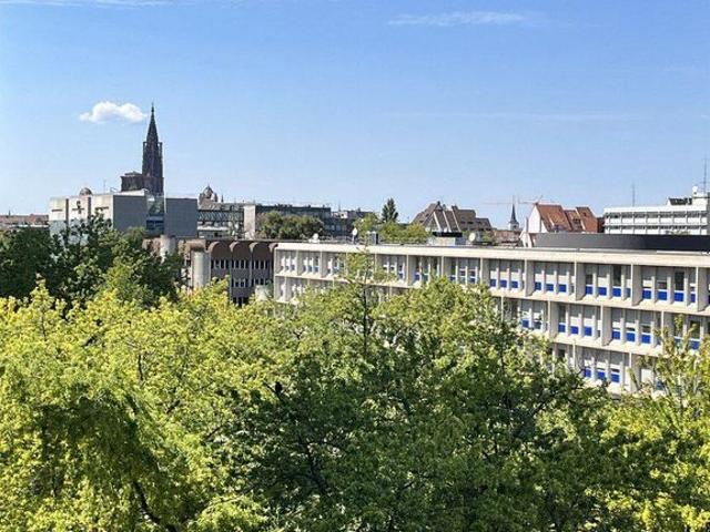Appartement de luxe de 5 pièces en location à Strasbourg, France