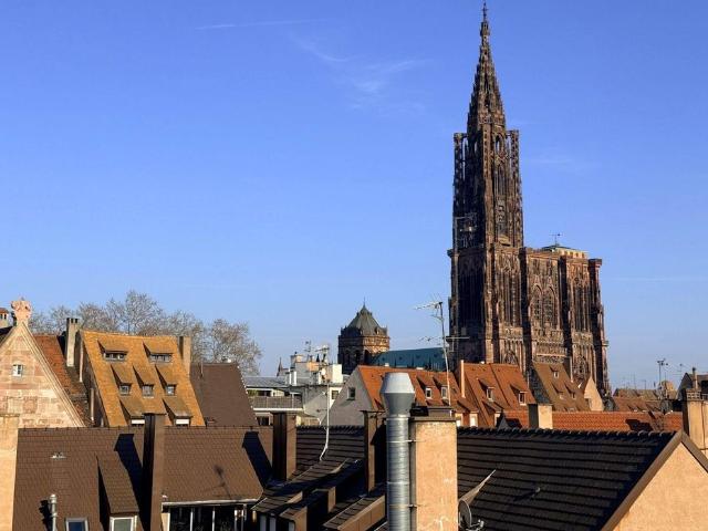Appartement de luxe de 5 pièces en vente à Strasbourg, Grand Est