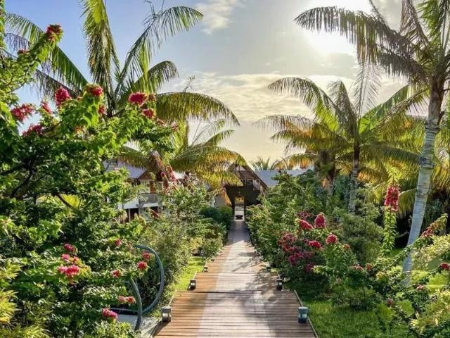 Appartement de Prestige au Rez de Chaussée – Résidence Akoya17, Pointe aux Canonniers