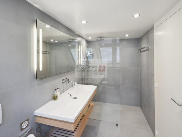 Appartement de prestige en triplex avec Terrasse et parc Meublé | dreamo. Ch