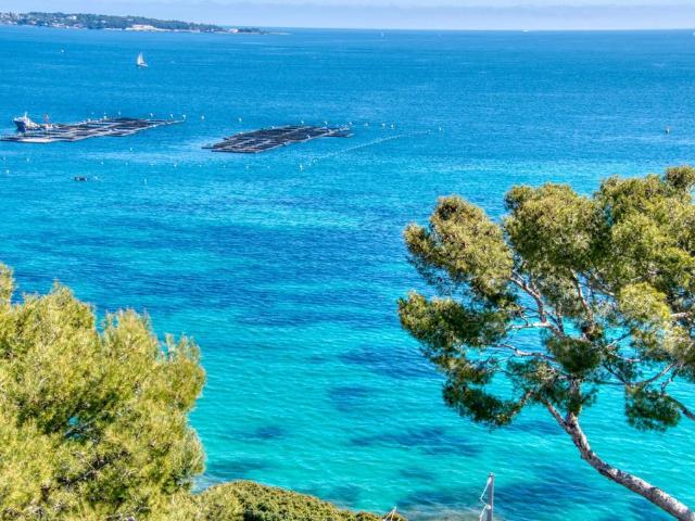 Appartement de prestige en vente Cannes, France