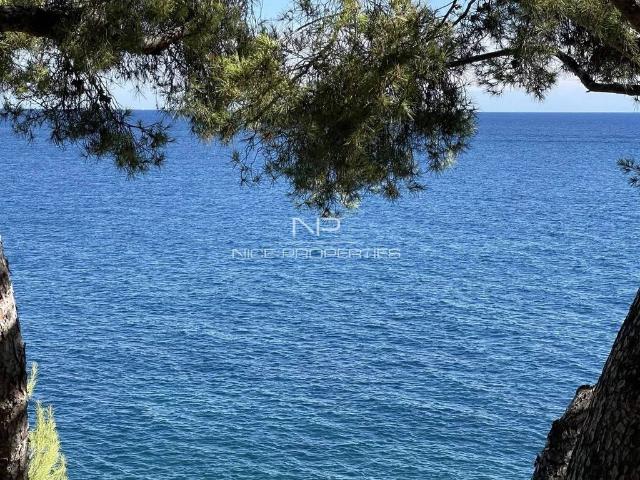 Villa de luxe de 10 pièces en vente Roquebrune Cap Martin, France