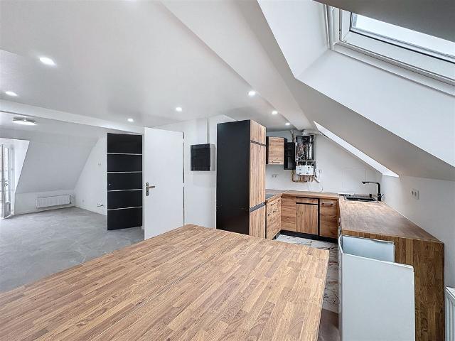 Appartement duplex 1 chambre avec terrasse