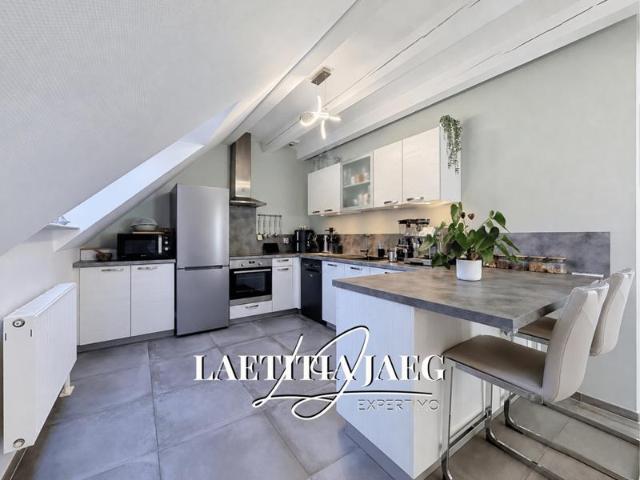APPARTEMENT DUPLEX 4 PIÈCES 74 m2 CARREZ 109 m2 AU SOL