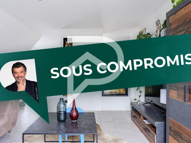 Appartement Duplex Colmar 5 pièce s 125 m2