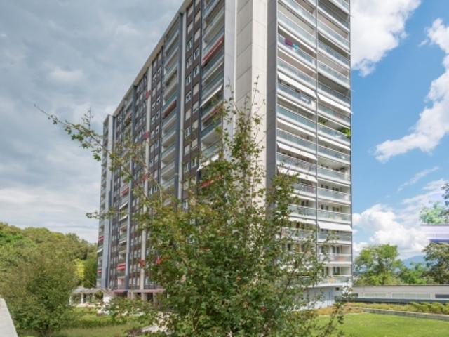 Appartement duplex à Petit Lancy !