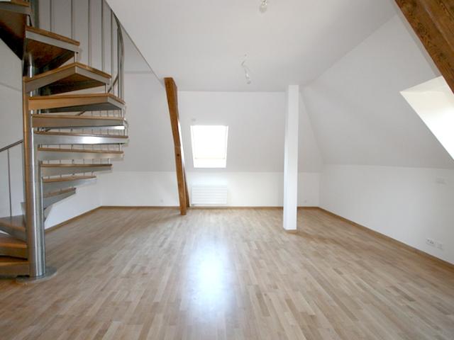 Appartement duplex de 6,5 pièces avec terrasse aux Charmilles Régie du Centre