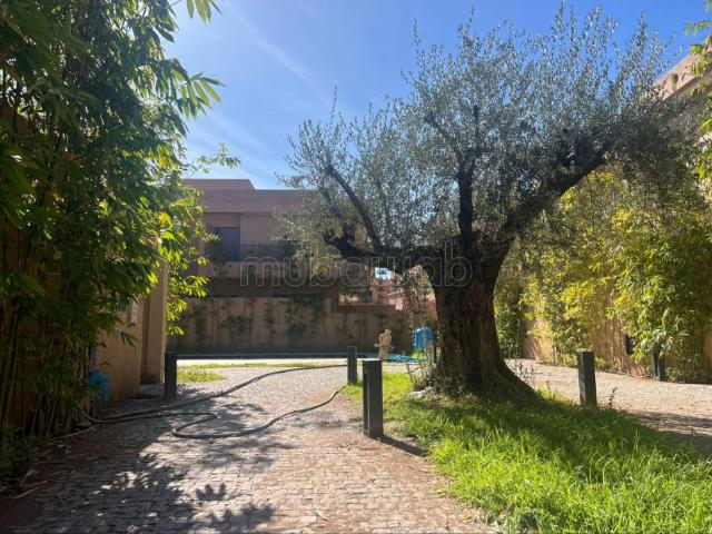Appartement en vente à Boulevard Med 6.4 belles chambres. Belle terrasse et jardin