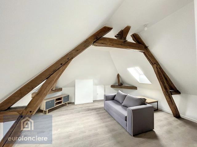 APPARTEMENT EN DUPLEX MEUBLE A TROYES 3 pièces