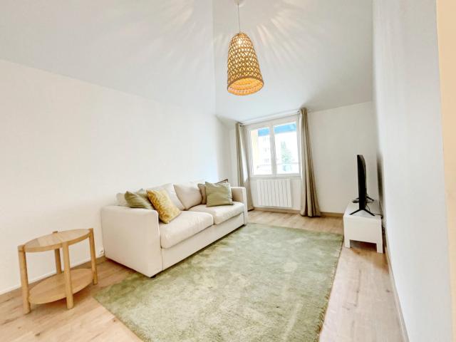 Appartement en duplex meublé 30,48 m2 Lyon 3ème