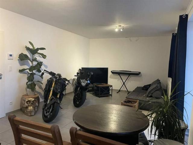Appartement en Location à Martelange
