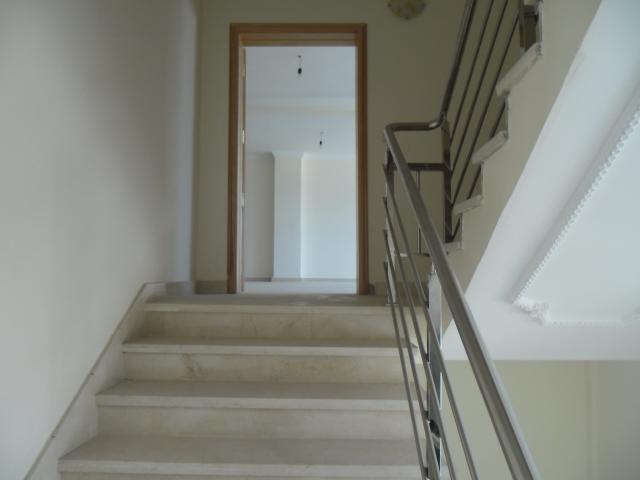 Appartement en location à Nador