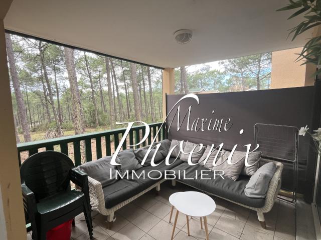 Appartement entre lac et océan !