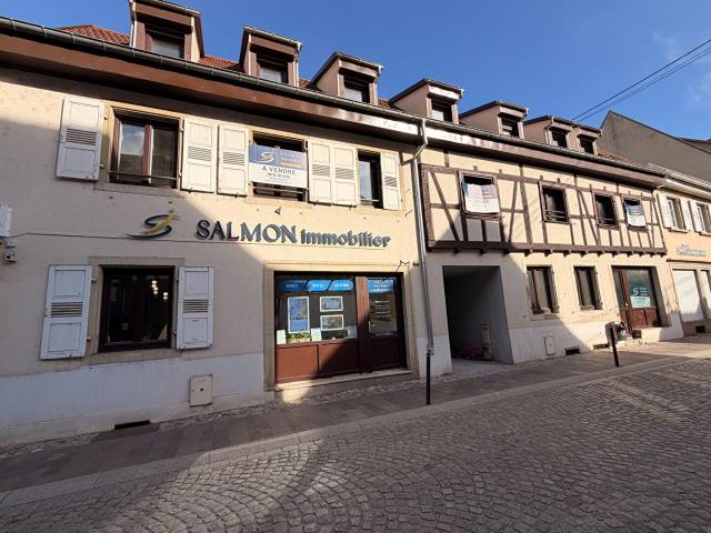 Appartement Erstein 2 pièce s 62 m2