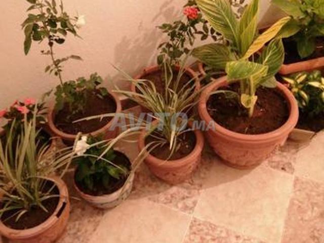 Appartement et conciergerie à louer Beni Mellal