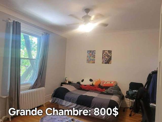 Appartement et Condo à Louer Court Terme 457 rue Saint Germain, Saint Laurent Montréal 10 photos | Logis Québec