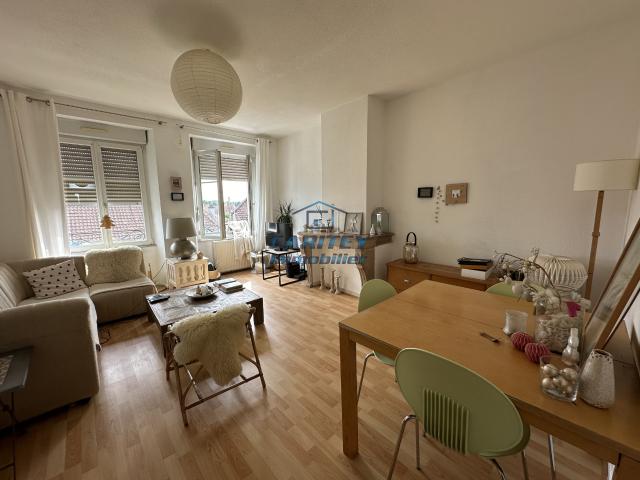 APPARTEMENT F3 81 m2 CENTRE VILLE DE LURE 70200