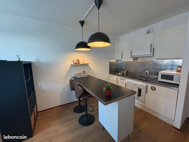 Appartement F1 29m² rénové dans un immeuble rénové BBC Emplacement idéal