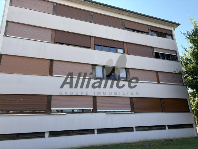 APPARTEMENT F1 A SAINT LOUP SUR SEMOUSE