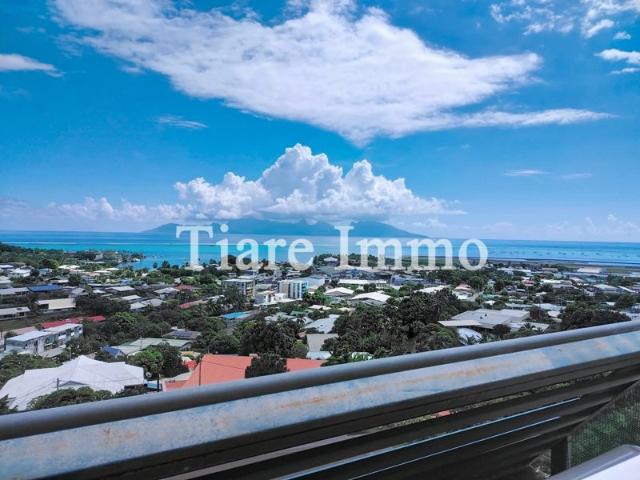 Appartement F2 entièrement rénové