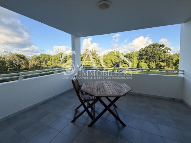APPARTEMENT F2 MEUBLÉ ET EQUIPÉ AVEC VUE DEGAGEE TERREVILL