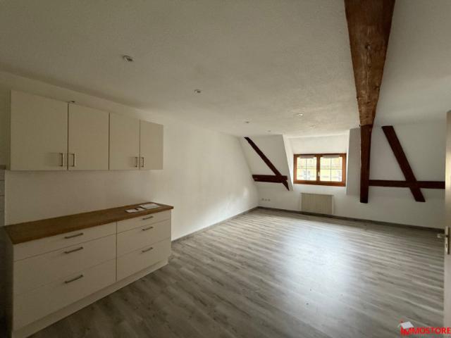Appartement FERRETTE