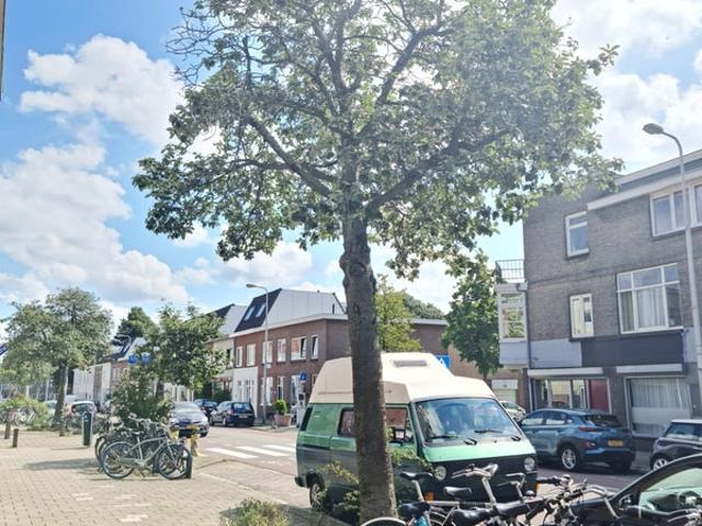 appartement for rent Utrecht Laan van Nieuw Guinea