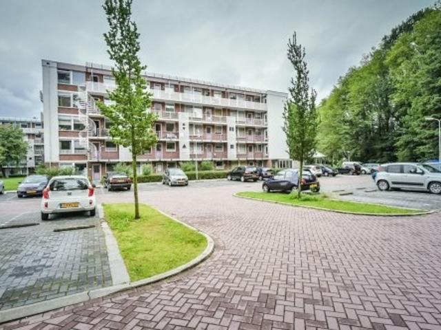 appartement for rent Zaandam Leverkruidweg