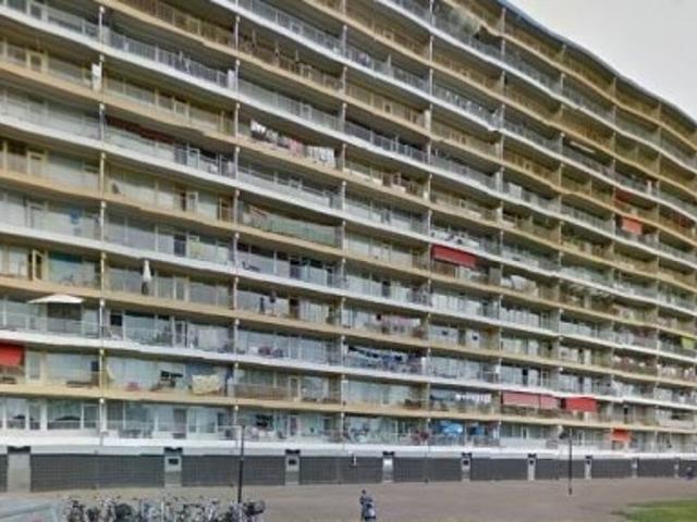 appartement for rent Zaandam Pharus
