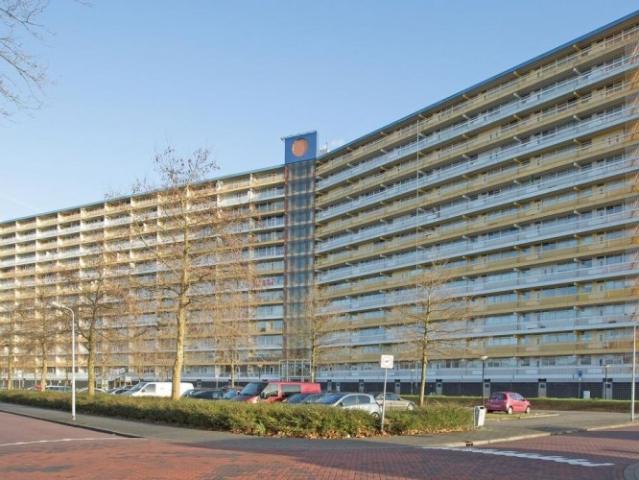 appartement for rent Zaandam Pharus