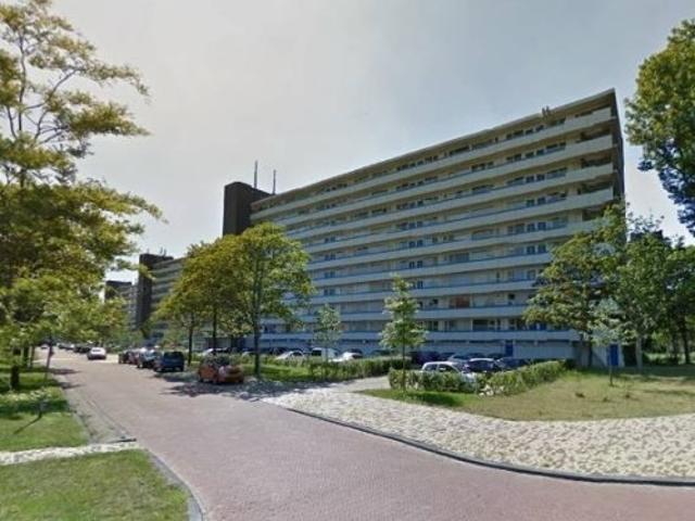 appartement for rent Alkmaar Honthorstlaan