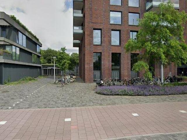 appartement for rent Amsterdam Carolina MacGillavrylaan