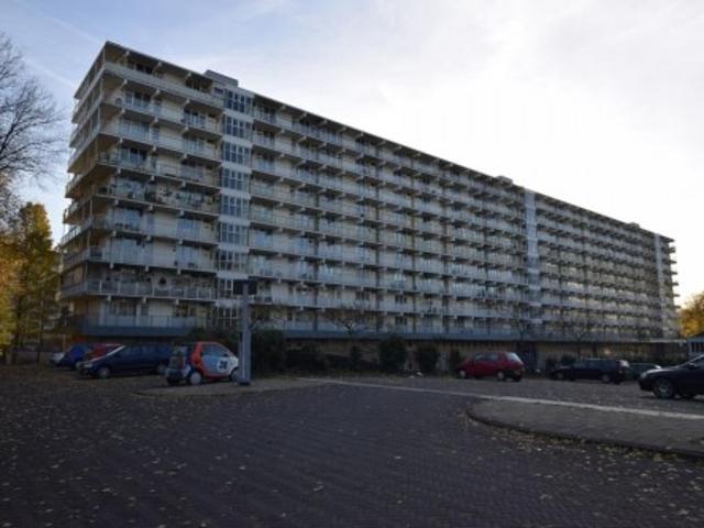 appartement for rent Amsterdam Hofgeest
