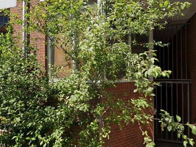 appartement for rent Amsterdam Palmstraat