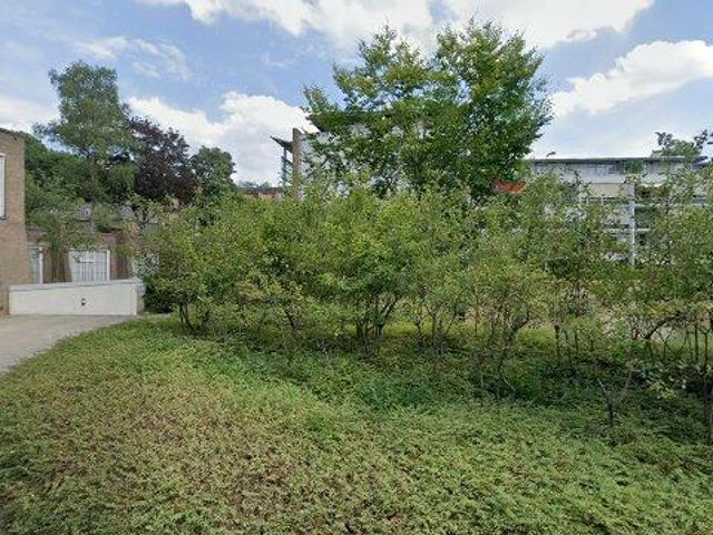 appartement for rent Arnhem Velperweg