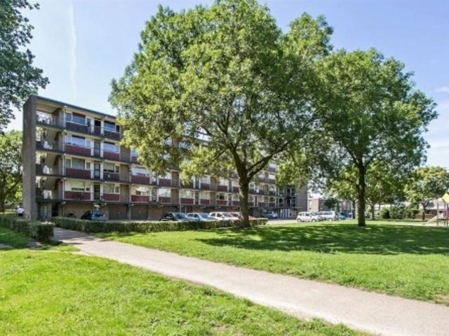 appartement for rent Den Bosch Otto Copesstraat