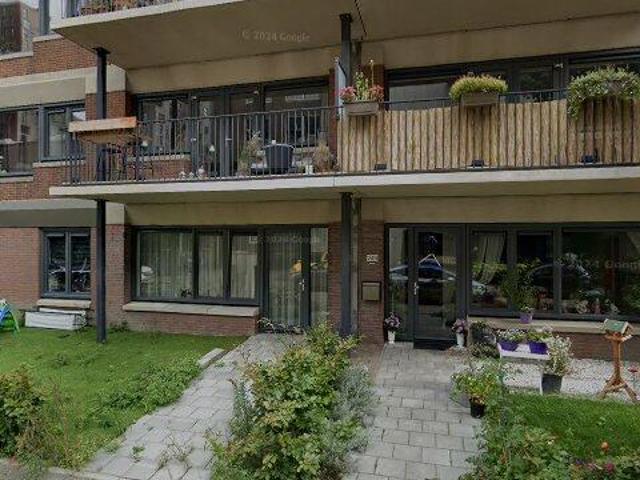 appartement for rent Den Haag Koningin Sophiestraat