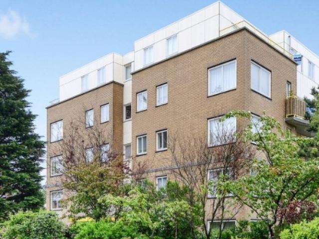 appartement for rent Den Haag Louis Davidsstraat